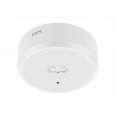 Harled Surface Mounting Emergency Downlight